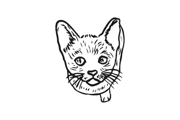 Burmese Cat Embroidery Design Review