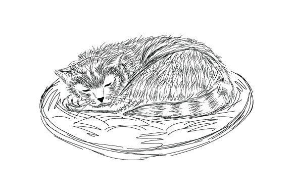 Burmese Cat Sleeping - Sketch Style Review