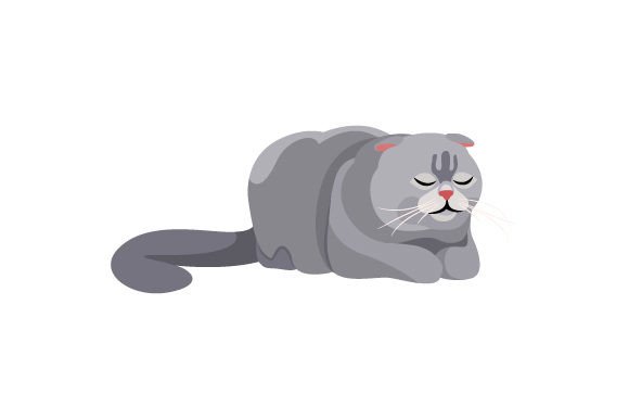 Scottish Fold Cat Sleeping Embroidery Review